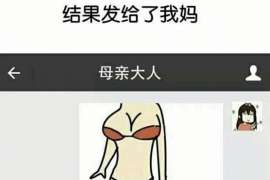 陆丰资产调查