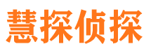 陆丰侦探公司